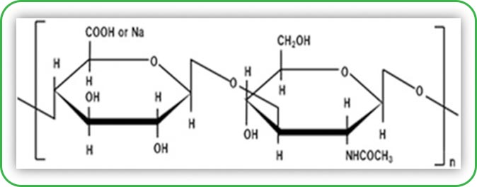ترکیب اسید هیالورونیک 